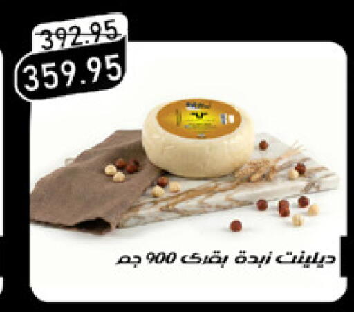 available at Exception Market in Egypt - Cairo