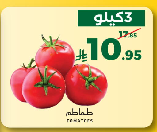 Tomato available at ميرا مارت مول in مملكة العربية السعودية, السعودية, سعودية - جدة