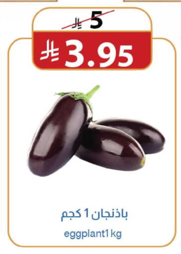 available at متاجر أبياتي in مملكة العربية السعودية, السعودية, سعودية - تبوك