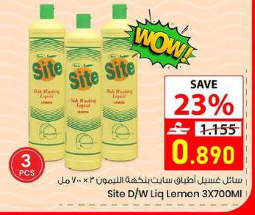 Lemon available at  Nada Happiness Trading L.L.C in Oman - Muscat