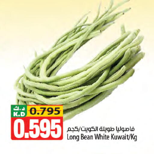 Mango from Kuwait available at مانجو هايبرماركت in الكويت - مدينة الكويت