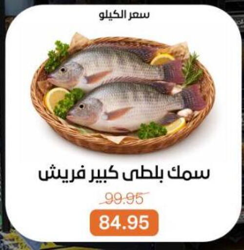 available at بيت الجملة in Egypt - القاهرة