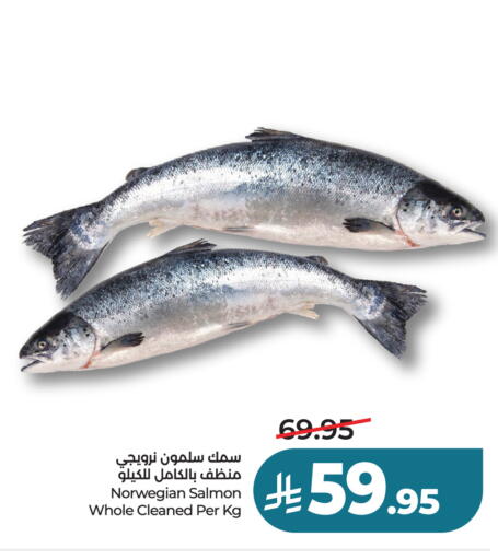 available at لولو هايبرماركت in مملكة العربية السعودية, السعودية, سعودية - تبوك