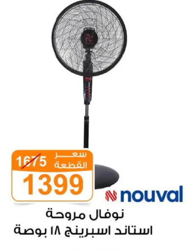 available at Gomla Market in Egypt - Cairo