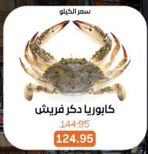 available at بيت الجملة in Egypt - القاهرة