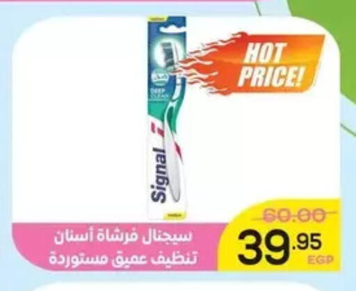 available at Aldoha Market in Egypt - Cairo