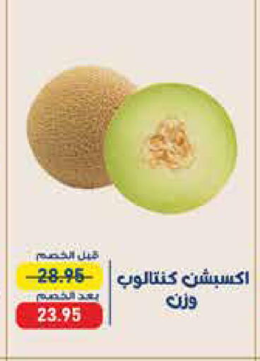 available at اكسبشن ماركت in Egypt - القاهرة