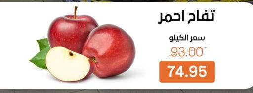 available at Beit El Gomla in Egypt - Cairo