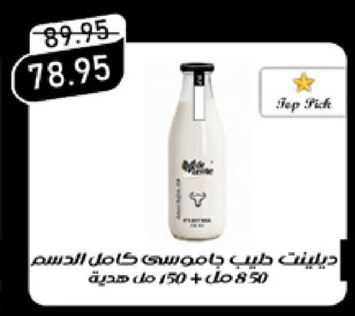 available at Exception Market in Egypt - Cairo
