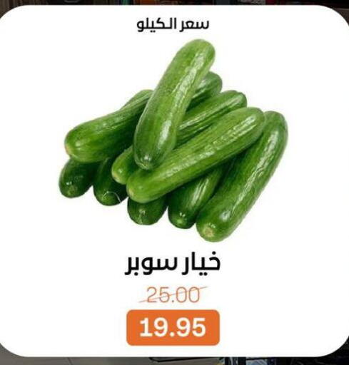 available at Beit El Gomla in Egypt - Cairo