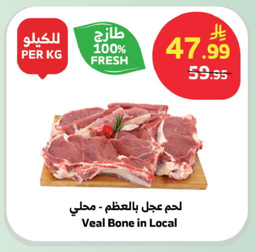 available at الراية in مملكة العربية السعودية, السعودية, سعودية - جدة