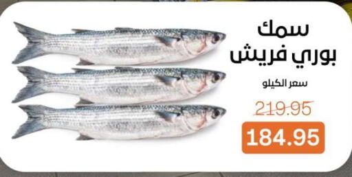 available at بيت الجملة in Egypt - القاهرة