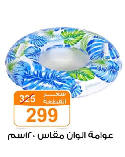 available at Gomla Market in Egypt - Cairo