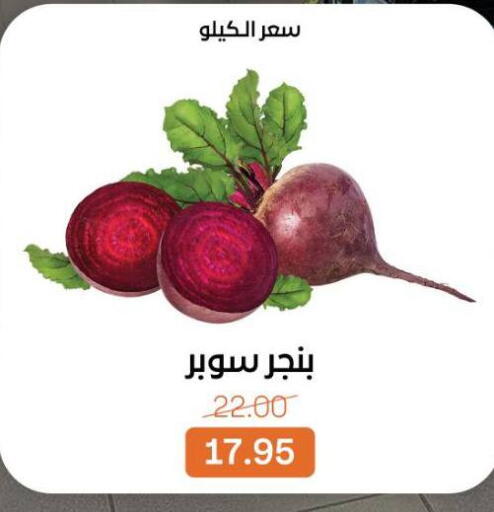 available at Beit El Gomla in Egypt - Cairo