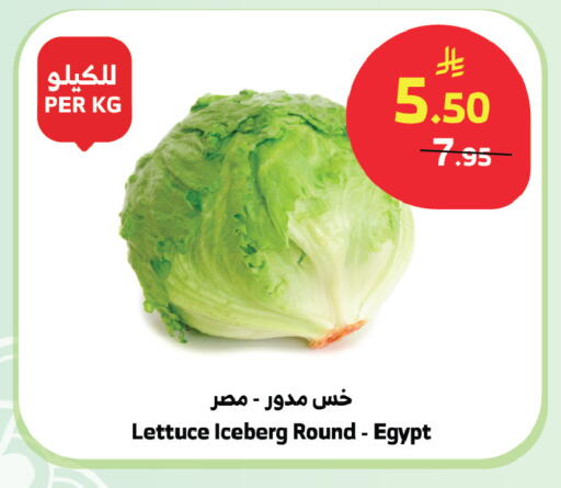 Lettuce from Egypt available at الراية in مملكة العربية السعودية, السعودية, سعودية - المدينة المنورة