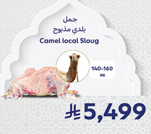 available at كارفور in مملكة العربية السعودية, السعودية, سعودية - جدة