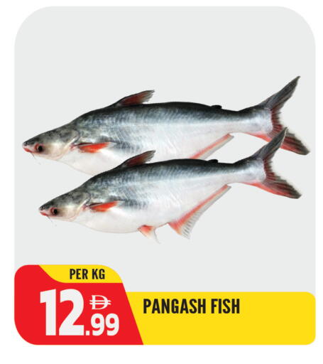 available at Dream Land in UAE - Sharjah / Ajman