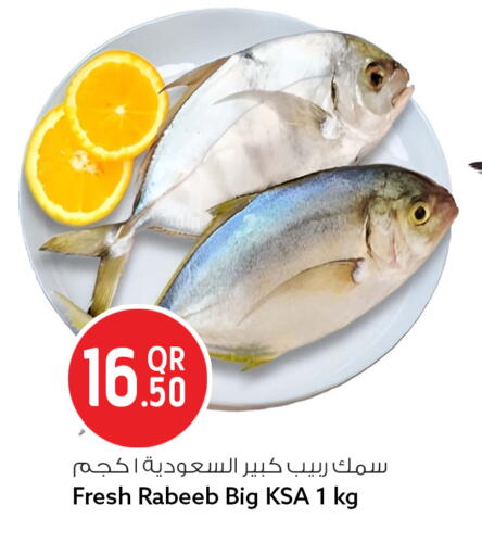 available at سفاري هايبر ماركت in قطر - الوكرة