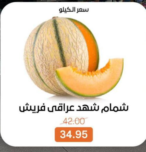 available at بيت الجملة in Egypt - القاهرة