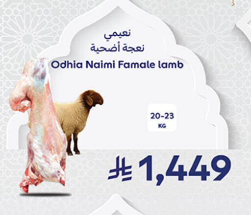 available at كارفور in مملكة العربية السعودية, السعودية, سعودية - جدة
