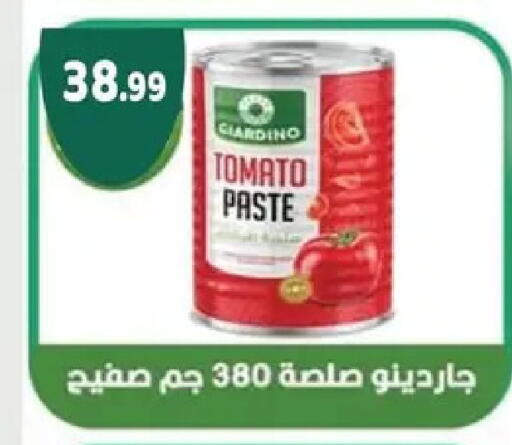 Tomato available at AlSultan Hypermarket in Egypt - Cairo