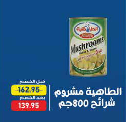 available at Exception Market in Egypt - Cairo
