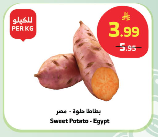 Sweet Potato from Egypt available at الراية in مملكة العربية السعودية, السعودية, سعودية - المدينة المنورة