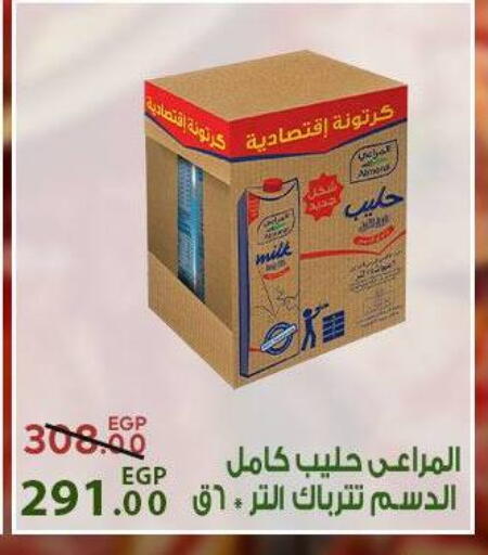 available at سراى ماركت in Egypt - القاهرة