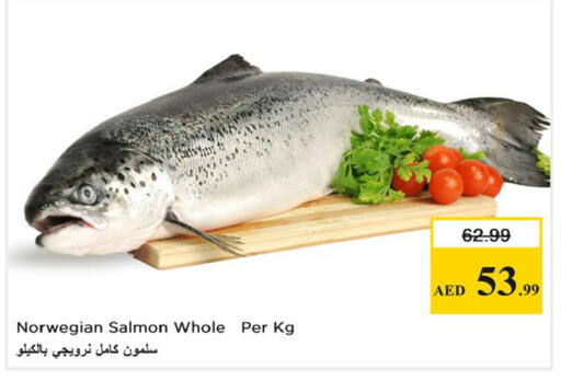 available at نستو هايبرماركت in الإمارات العربية المتحدة , الامارات - دبي