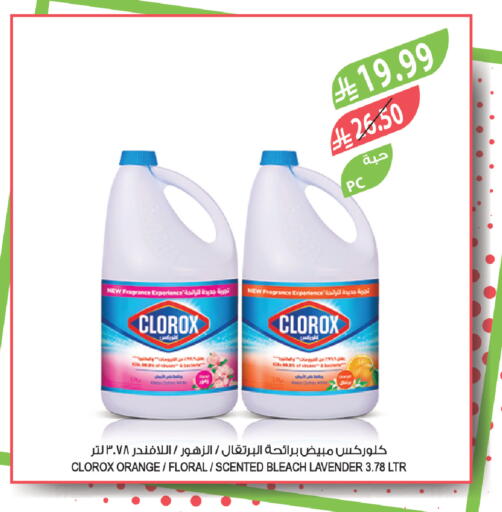 Orange available at المزرعة in مملكة العربية السعودية, السعودية, سعودية - سيهات