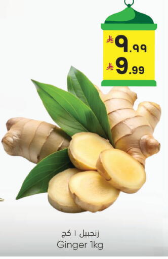 Ginger available at ستي فلاور in مملكة العربية السعودية, السعودية, سعودية - سكاكا