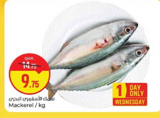 available at باريس هايبرماركت in قطر - الوكرة