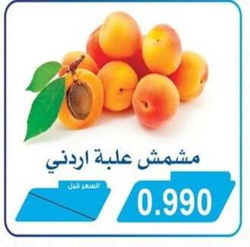 available at جمعية سلوى التعاونية in الكويت - مدينة الكويت