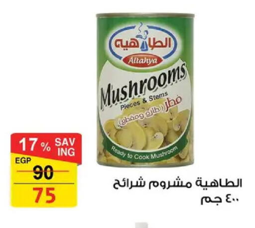 Mushroom available at Fathalla Market  in Egypt - Cairo