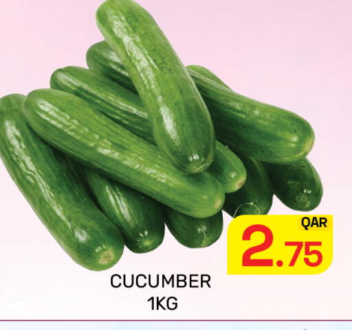 Cucumber available at Majlis Hypermarket in Qatar - Al Rayyan