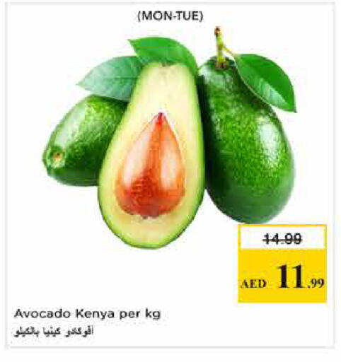 Avocado from Kenya available at Nesto Hypermarket in UAE - Abu Dhabi