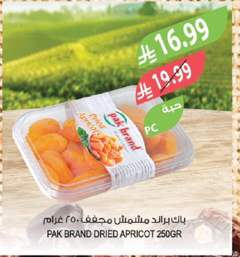 Apricot available at المزرعة in مملكة العربية السعودية, السعودية, سعودية - سيهات