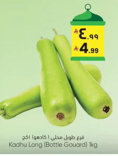 available at ستي فلاور in مملكة العربية السعودية, السعودية, سعودية - الرياض
