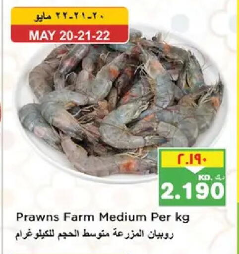 available at نستو هايبر ماركت in الكويت - مدينة الكويت