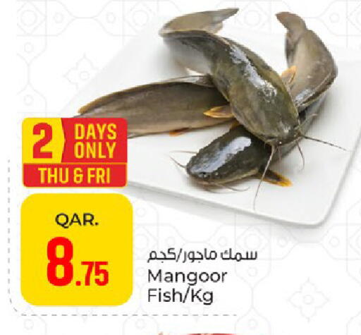 available at باريس هايبرماركت in قطر - الوكرة