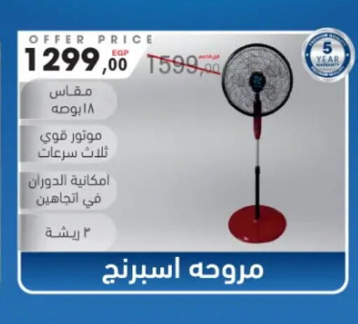 available at El Mahlawy Stores in Egypt - Cairo