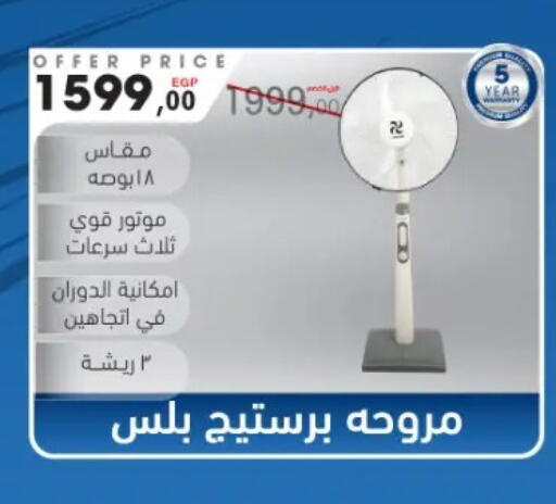 available at El Mahlawy Stores in Egypt - Cairo