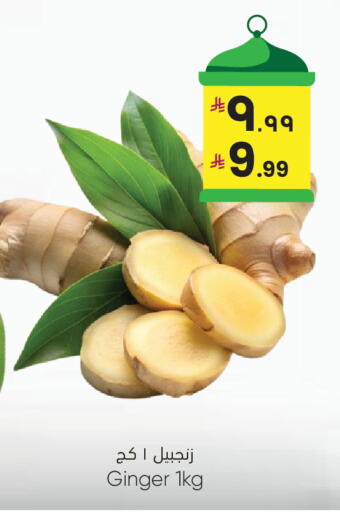 Ginger available at ستي فلاور in مملكة العربية السعودية, السعودية, سعودية - الرياض