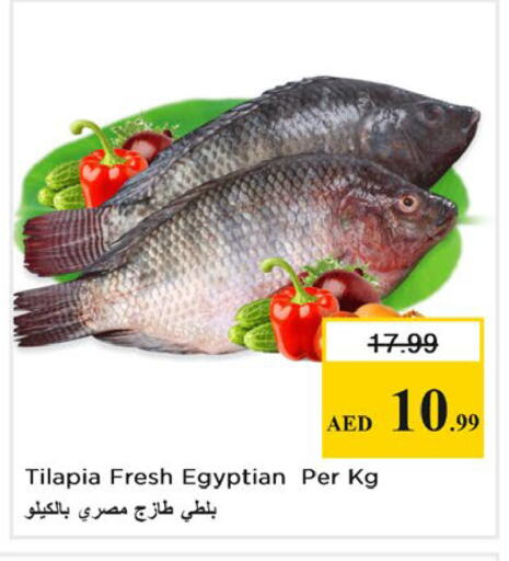 available at نستو هايبرماركت in الإمارات العربية المتحدة , الامارات - دبي