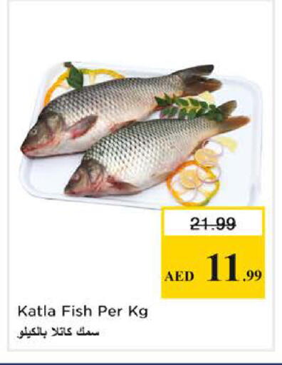 available at نستو هايبرماركت in الإمارات العربية المتحدة , الامارات - دبي