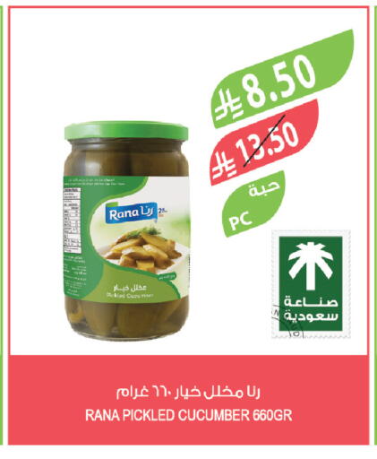 Cucumber available at المزرعة in مملكة العربية السعودية, السعودية, سعودية - سيهات
