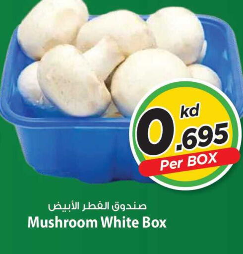 Mushroom available at مارك & سايف in الكويت - مدينة الكويت