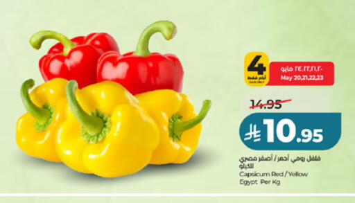 Capsicum from Egypt available at LULU Hypermarket in KSA, Saudi Arabia, Saudi - Jeddah