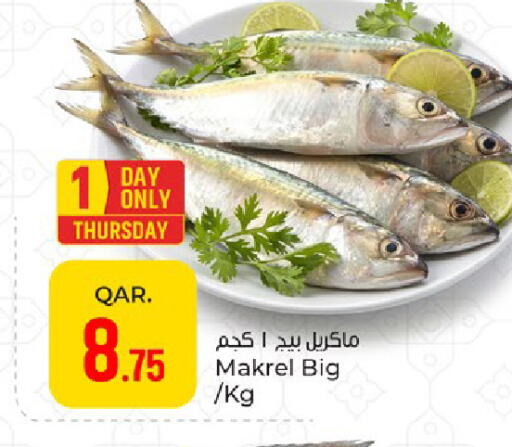 available at باريس هايبرماركت in قطر - الوكرة