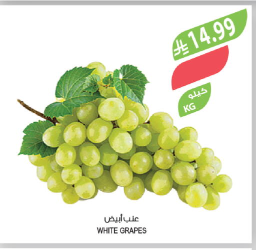 Grapes available at المزرعة in مملكة العربية السعودية, السعودية, سعودية - سيهات